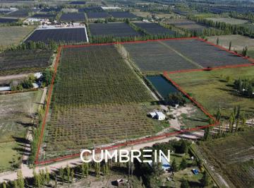 Campo · 140m² · Finca de 11 Ha en Cuadro Benegas Sobre Calle Esmeralda
