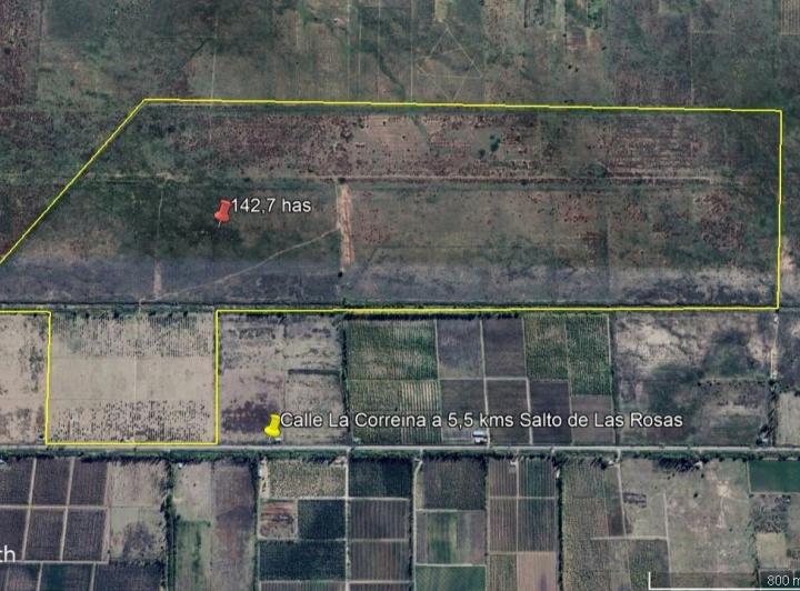 Campo · 1420000m²