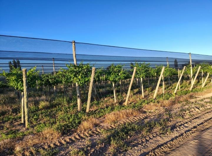 Campo · 140m² · 3 Ambientes