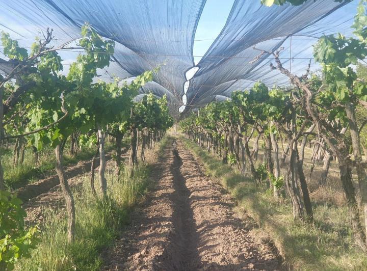 Campo · 135000m² · 3 Ambientes