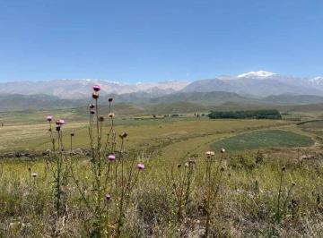 Terreno · 20000m² · Lote en Venta – Las Carreras, Tupungato