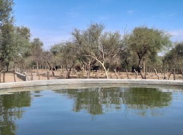 Campo · 1893ha · Campo Ganadero de 1800 Ha, Depto Minas