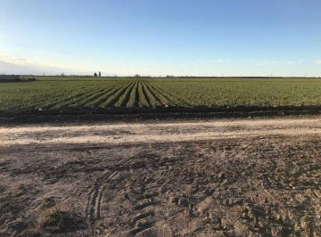 FMS-FMS-83_2 · Terreno - Lavalle