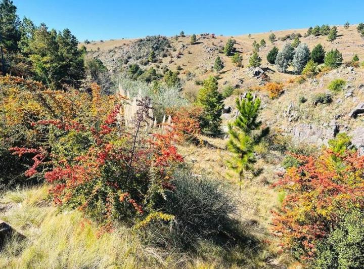 Terreno · 8900m²