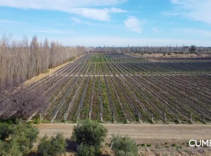 Campo · 315m²