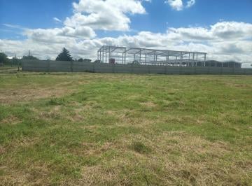 Terreno · 3450m² · Lote Industrial Villa Gran Parque