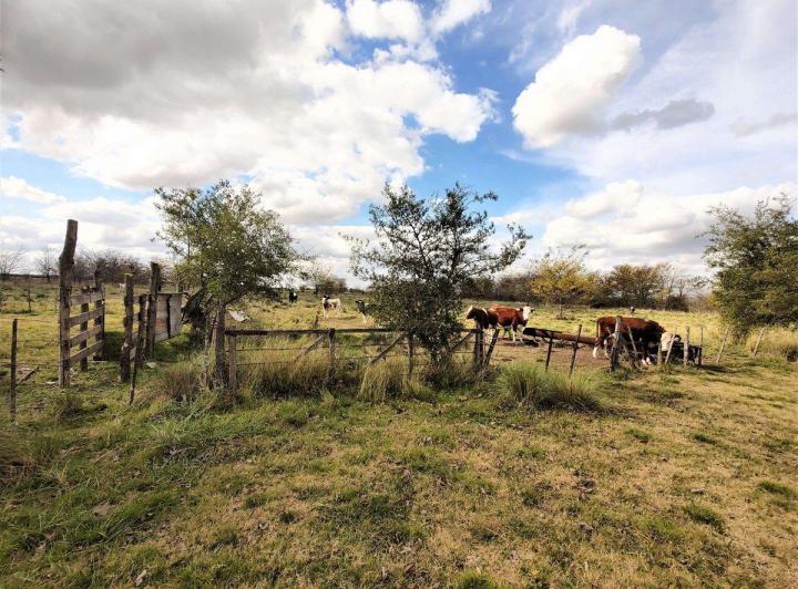Terrenos en venta — RealXpertAI