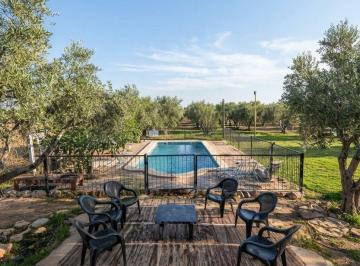 Quinta vacacional de 1 ambiente, Dorrego · Venta Finca C/olivos/ Salón de Eventos General Gutiérrez Dorrego Guaymallén