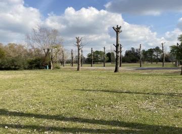 Terreno · 1300m² · Campo Grande S/n