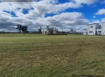 Terreno · 525m² · Venta Lote