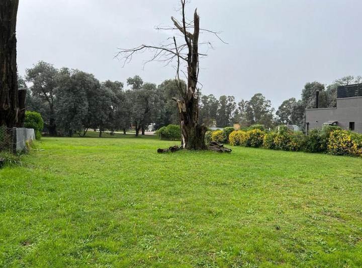 Terreno · 905m²