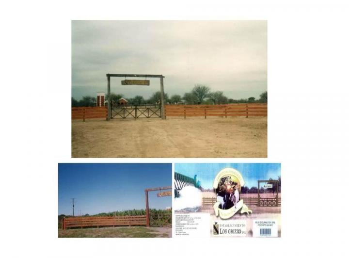 Campo · 255ha · 4 Ambientes