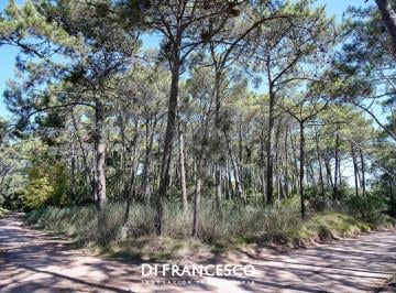 Terreno · 998m² · Venta - Lote Unifamiliar de 998 m² en Cariló - Divisadero y Lapacho