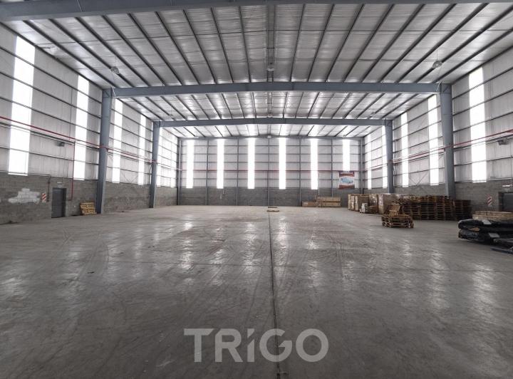 Depósito · 1200m² · 10 Cocheras