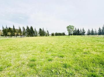 Terreno · 1255m² · Lote en Venta en Prados de La Vega