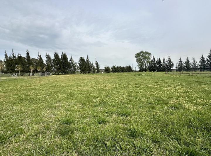 Terreno · 1255m²