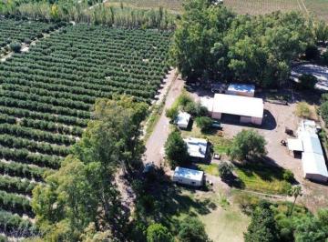 Campo , Otro · Vende Finca de 403 Ha - Dcho. a Riego – Ingeniero Gustavo André, Lavalle