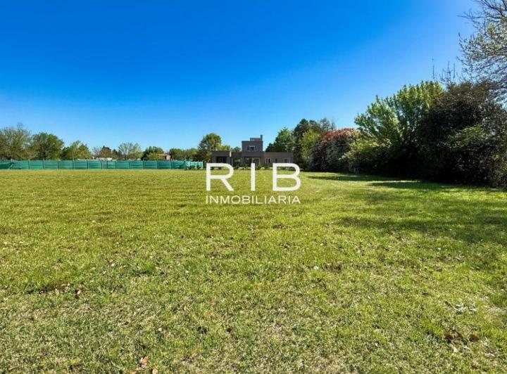 Terreno · 1124m²