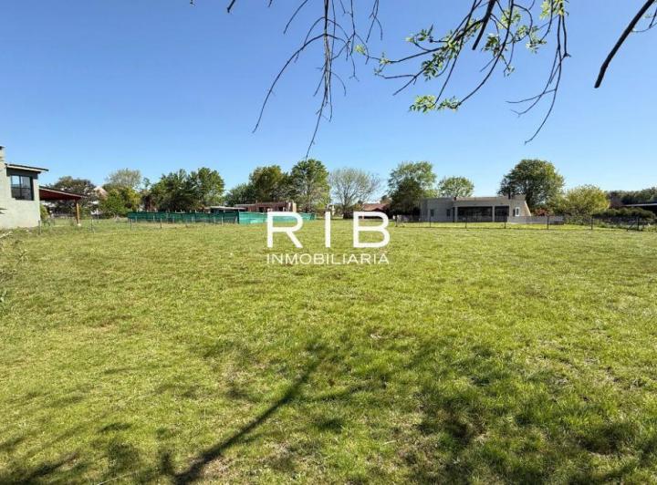 Terreno · 1004m²