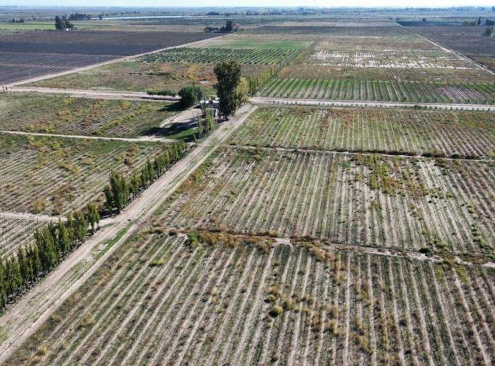 Campo · 18ha