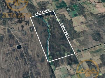 Campo · 192ha · 3 Ambientes · Finca en Jaime Prats