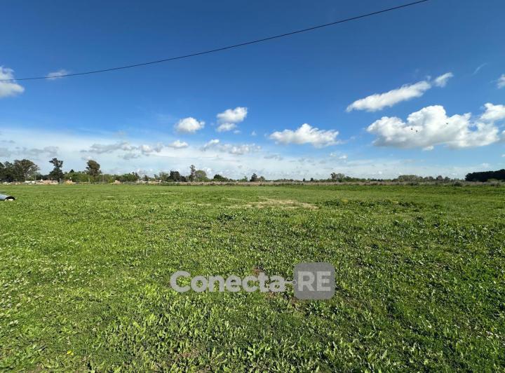 Terreno · 3340m²