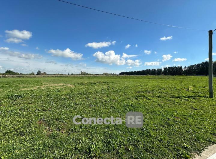 Terreno · 4450m²