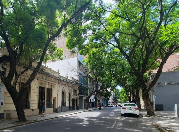 Local comercial · 200m² · 8 Ambientes