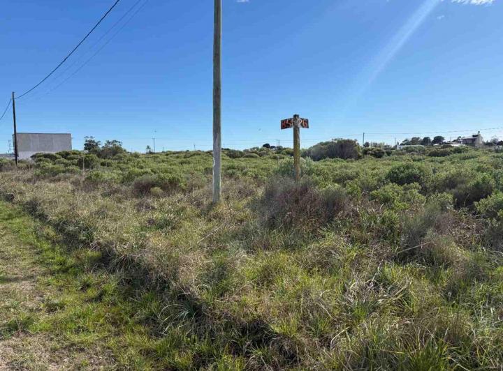 Terreno · 556m²