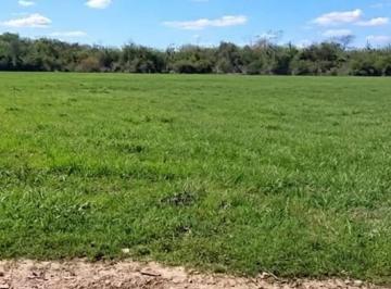Terreno · 300m² · Terreno en Venta en Zona Norte Financiado