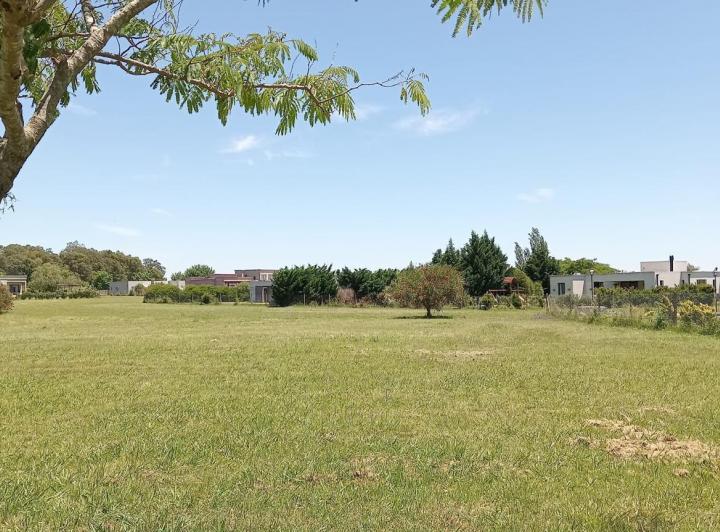 Terreno · 1164m²