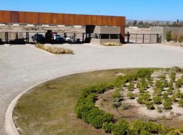Terreno , Mayor Drummond · Venta Lote Barrio Las Palmas I
