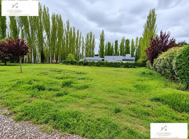Terreno · 995m²