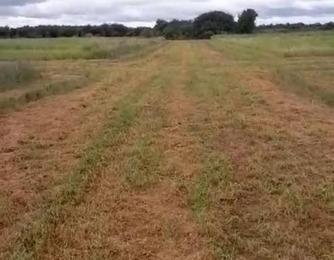 Terreno · 300m²