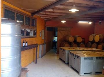 Bodega-Galpón de 4 ambientes, Luján de Cuyo · Espacio Enogastronómico. Funcionando con Bodega Artesanal en Serranías de Lunlunta. Luján. 8000 m².