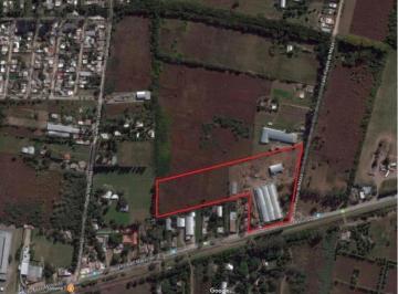 Bodega-Galpón · 6000m² · 3 Cocheras · Galpon de 6.000 m²