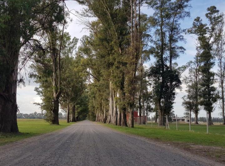 Terreno · 1600m²