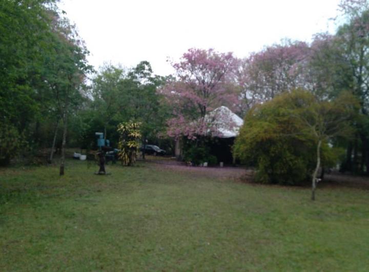 Campo · 20000m²