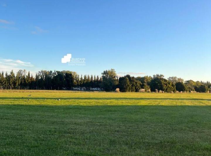 Terreno · 1760m²