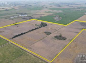 Campo · 60ha · En Venta Campo Agrícola 60 Hectáreas en Roque Pérez