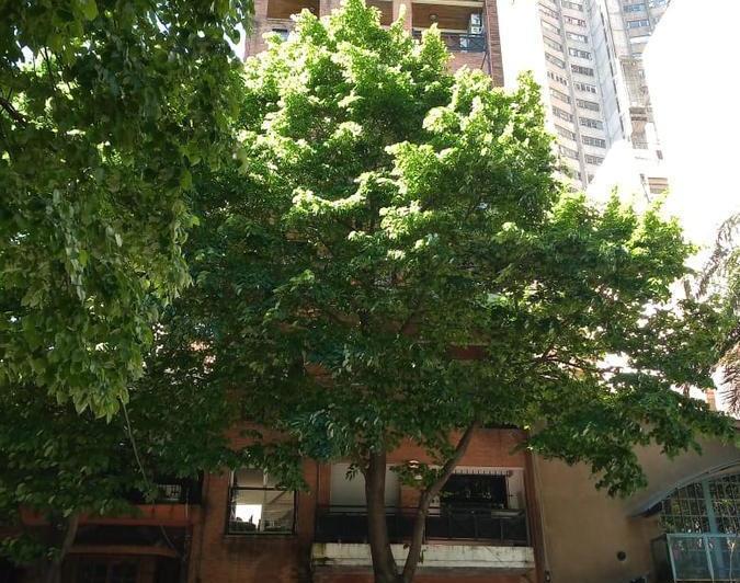 Departamento · 48m² · 2 Ambientes