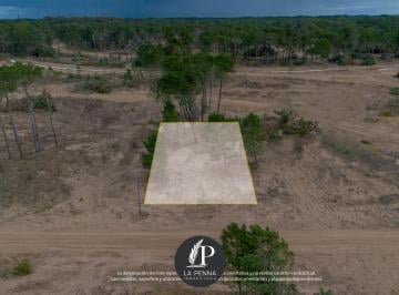 Terreno · 1095m² · Terreno Venta Pinamar Barrio Bosques