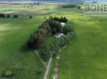 Campo · 38ha · 5 Ambientes · Campo en Venta de 38 Hectáreas con Importante Infraestructura Productiva en Navarro Sobre Rp 41