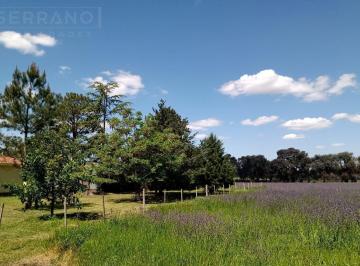 Campo · 152m² · 3 Ambientes · 2 Cocheras · Ldo. Venta Chacra 3 Ambientes Galpón Sobre 8 Hectáreas Sobre Ruta 6 Open Door