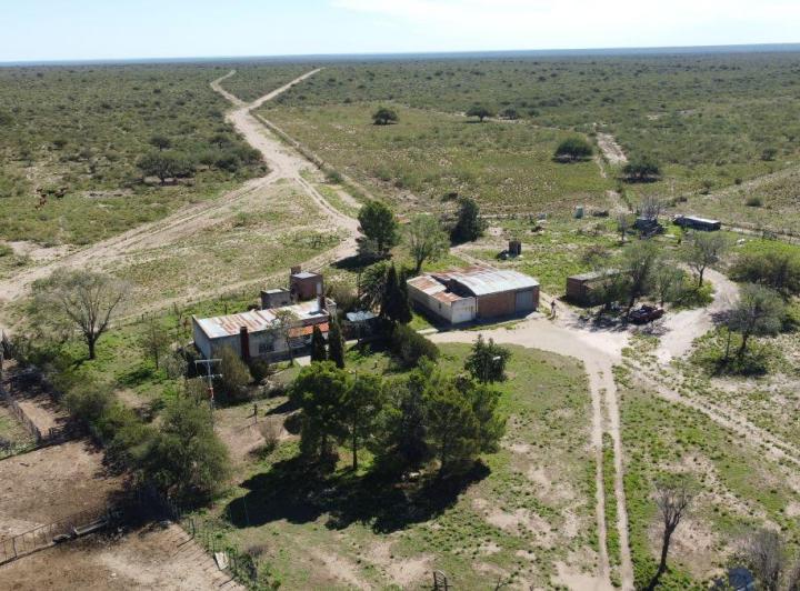 Campo · 5000m²