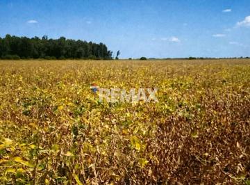 Campo · 300ha · Campo 700 Ha en San Justo Estancia El Chamberly