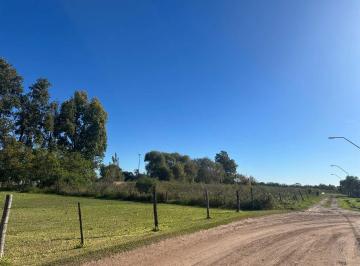 Terreno · 4757m² · Venta Gran Lote a m. Av San Martín Monte Vera