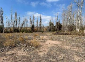 Terreno , Lunlunta · Terreno en Lunlunta 4.000 m²