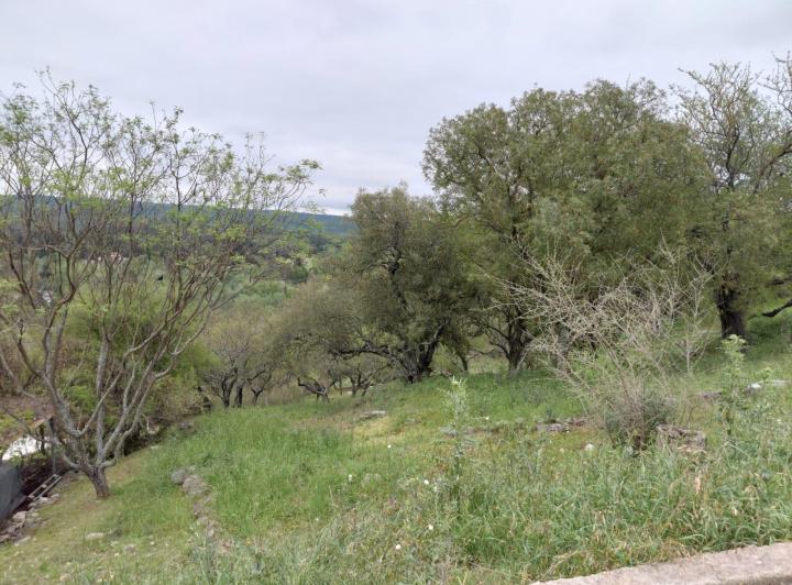 Terreno · 1100m²