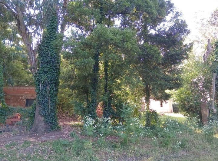 Terreno · 426m²